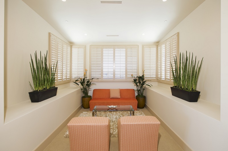 Interior with plants and furniture