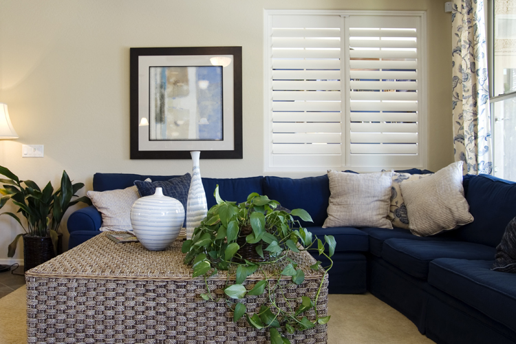 Stylish New Living Room
