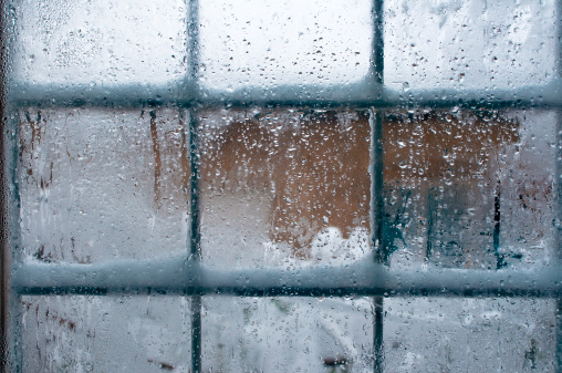 Winter window pane